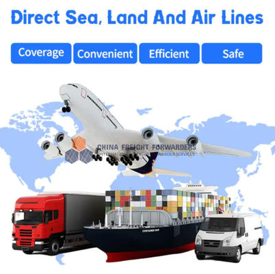 DHL UPS Fedex International Express Freight Service dalla Cina Tutti i tipi FIATA