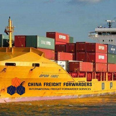 DDU/DDP Fast International Ocean Freight Forwarder dalla Cina al Regno Unito