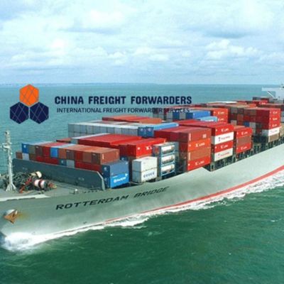 DDU/DDP Fast International Ocean Freight Forwarder dalla Cina al Regno Unito