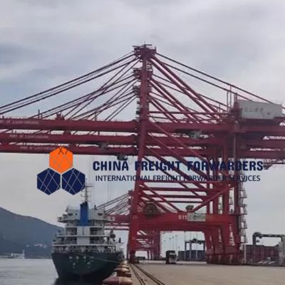 Global Carrier Freight Forwarder Logistica Spedizione oceanica dalla Cina al Regno Unito